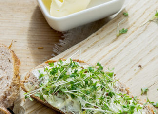 Sprossen & Keimlinge selber ziehen Sprossen & Keimlinge