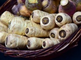 Die Pastinake – vergessene Gemüsesorten (Teil 1) Pastinake - Titelbild