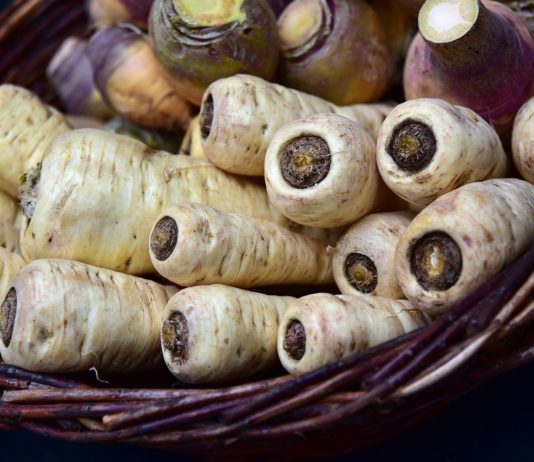 Die Pastinake – vergessene Gemüsesorten (Teil 1) Pastinake - Titelbild