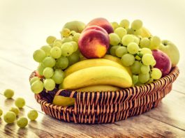 Mückenplage in der Küche – Was tun? Mückenplage in der Küche – Obstkorb ist häufig eine Ursache