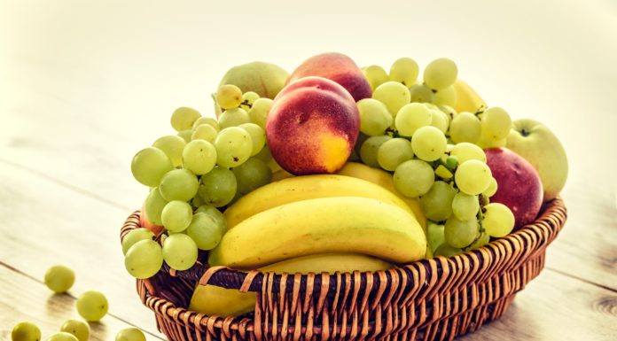 Mückenplage in der Küche – Was tun? Mückenplage in der Küche – Obstkorb ist häufig eine Ursache