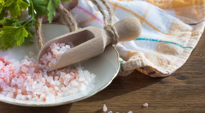 Grillen auf der Salzplanke