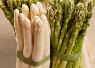 Spargel richtig zubereiten ist keine Kunst! weißer und grüner Spargel