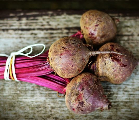 Die Rübe – vergessene Gemüsesorten (Teil 2) Rübe - Titelbild