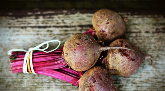 Die Rübe – vergessene Gemüsesorten (Teil 2) Rübe - Titelbild