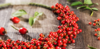 Superfood Hagebutte Superfood Hagebutte