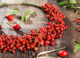 Superfood Hagebutte Superfood Hagebutte