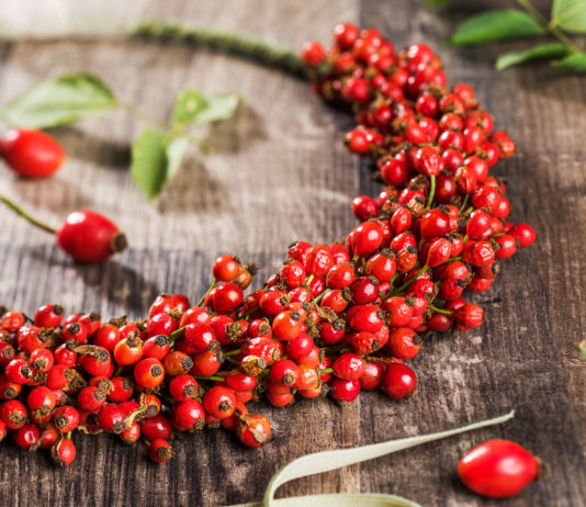 Superfood Hagebutte Superfood Hagebutte