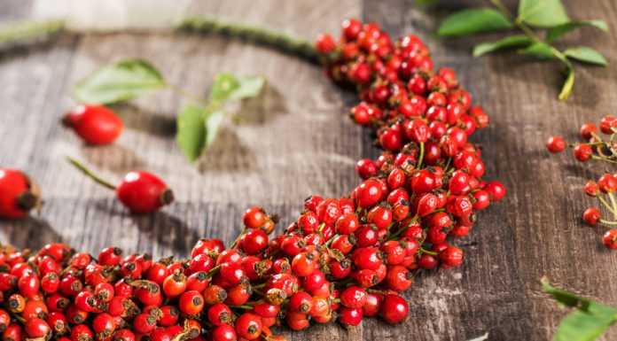 Superfood Hagebutte Superfood Hagebutte