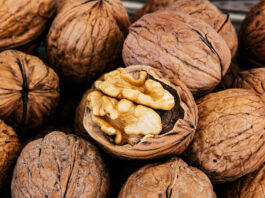 Walnuss – Kraftkorn für unser Gehirn Walnuss, Kraftquelle für das Gehirn