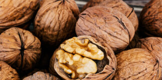 Walnuss – Kraftkorn für unser Gehirn Walnuss, Kraftquelle für das Gehirn