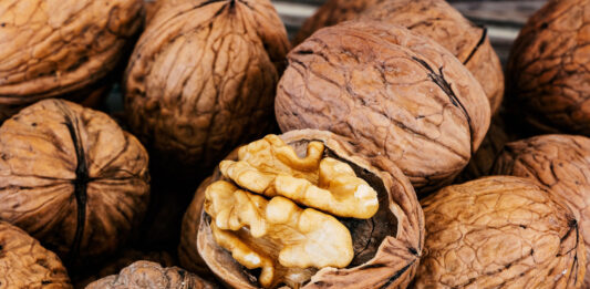 Walnuss – Kraftkorn für unser Gehirn Walnuss, Kraftquelle für das Gehirn