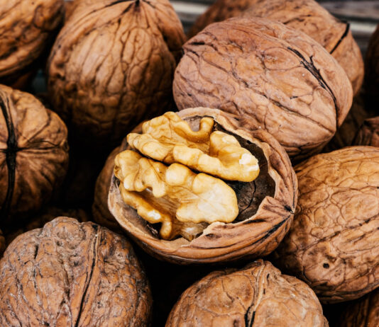 Walnuss – Kraftkorn für unser Gehirn Walnuss, Kraftquelle für das Gehirn