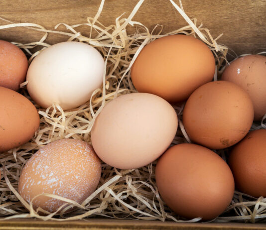 Das Ei – wertvolle Proteinbombe Hühnereier sind echte Eiweißbomben