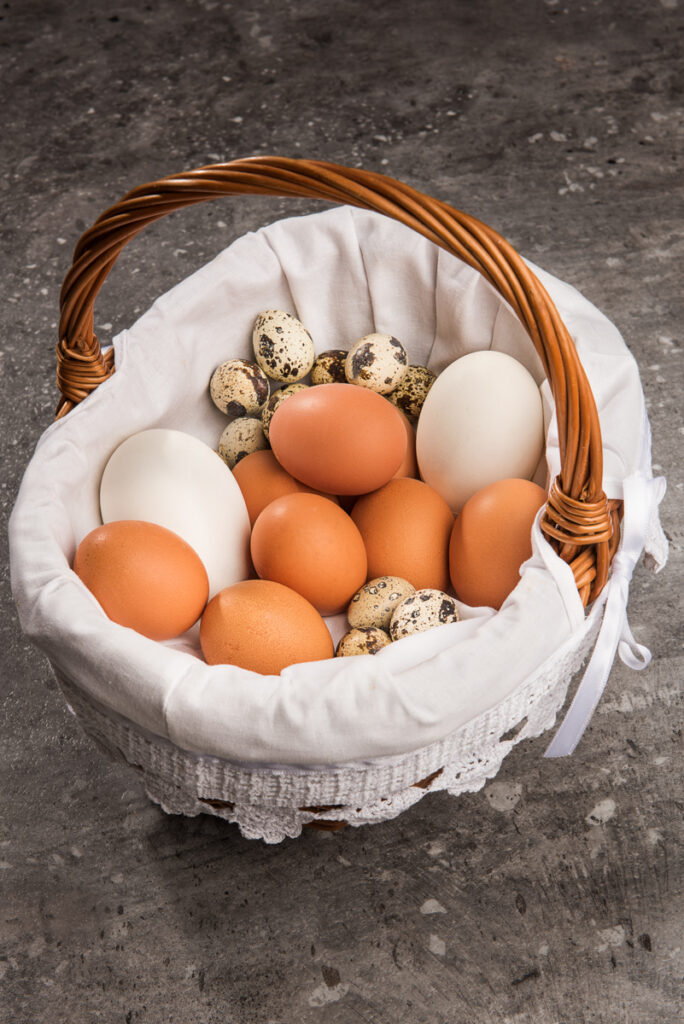 Ob Hühnerei, Gänseei oder Wachtelei: Eier bereichern unsere tägliche Ernährung.