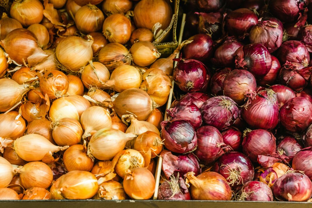 gelbe und rote Zwiebeln Gelbe und rote Zwiebeln