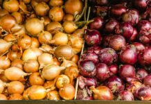Die Zwiebel – heilsame Tränen Gelbe und rote Zwiebeln