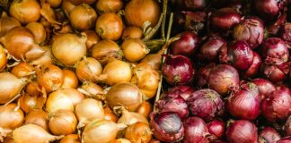 Die Zwiebel – heilsame Tränen Gelbe und rote Zwiebeln
