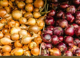 Die Zwiebel – heilsame Tränen Gelbe und rote Zwiebeln