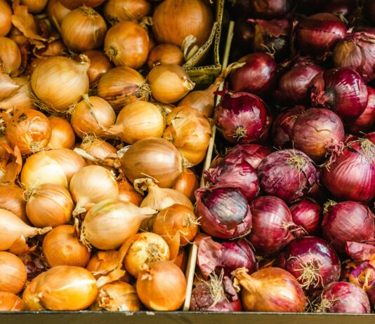 Die Zwiebel – heilsame Tränen Gelbe und rote Zwiebeln