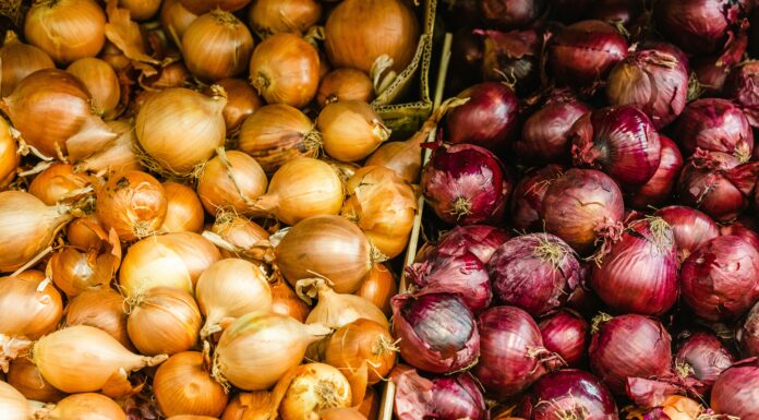 Die Zwiebel – heilsame Tränen Gelbe und rote Zwiebeln